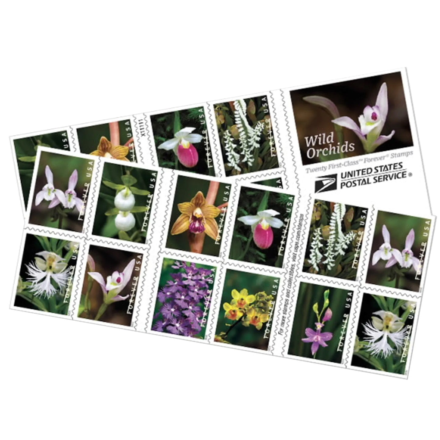 2020 Wild Orchids Forever First Class Postage Stamps