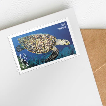 2024 Protect Sea Turtles Forever First Class Postage Stamps