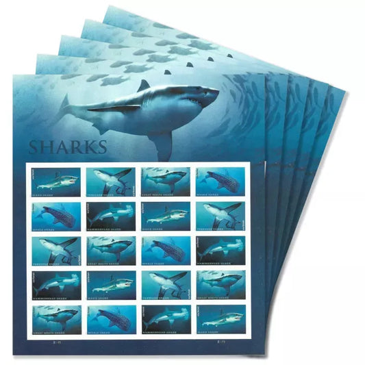 2017 Sharks Forever First Class Postage Stamps