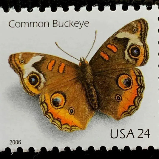 2006 Common Buckeye Butterfly  First Class Postage Stamps